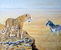 L�opard contre z�bre - Afrique du sud