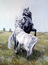 combat d`�talons en camargue